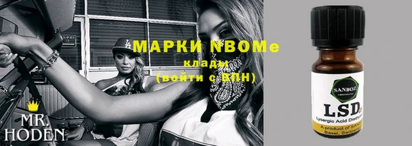 сатива Нефтекумск