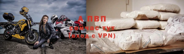 стафф Нефтегорск
