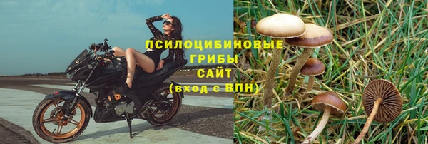 кокс Бородино