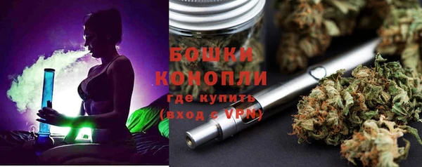 стаф Белокуриха