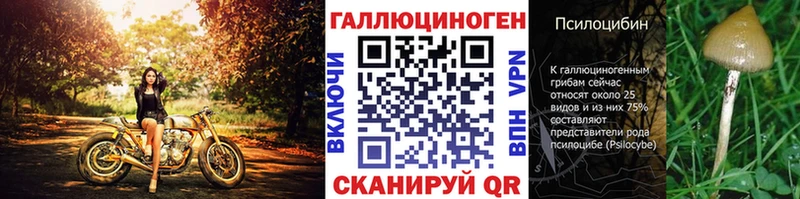 наркошоп  Болхов  Псилоцибиновые грибы Psilocybine cubensis 